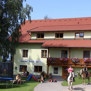 Bauernhof Pension Juri Apartment Obergosel Exterior photo