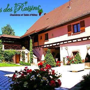 B&B Le Clos Des Raisins Beblenheim Exterior photo