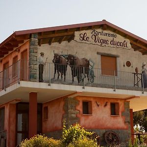 Agriturismo Le Vigne Ducali Villa Mandas Exterior photo