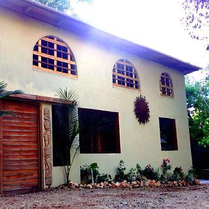 Cacao Rainforest Lodge Belmopan Exterior photo