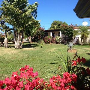 Le Bungalow Des Bougainvilliers Hotel Ducos Exterior photo