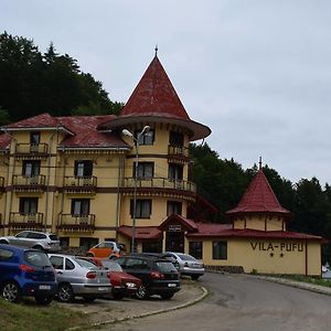 Vila Pufu Hotel Slanic-Moldova Exterior photo