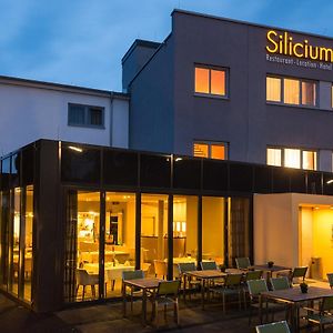 Hotel Silicium Hohr-Grenzhausen Exterior photo
