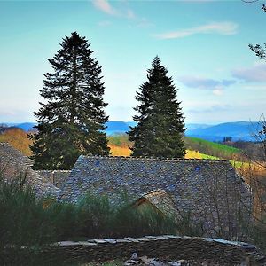 Domaine Des Marequiers Chambre Silene Bed & Breakfast Saint-Germain-du-Teil Exterior photo