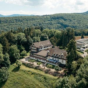 Bienenberg - Das Genusshotel Im Gruenen - Liestal Exterior photo