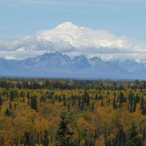 Denali Overlook Inn Talkeetna Exterior photo