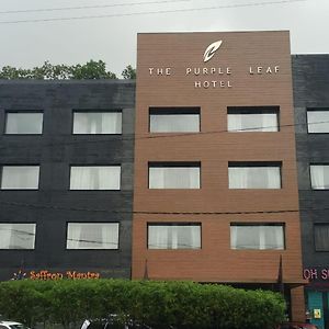 The Purple Leaf Hotels Hyderabad Exterior photo