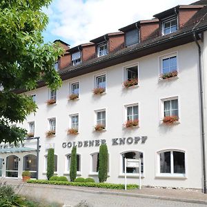 Hotel Goldener Knopf Bad Sackingen Exterior photo