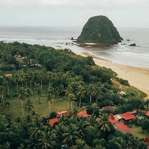 Mojosurf Camp Red Island Hotel Pasanggaran Exterior photo