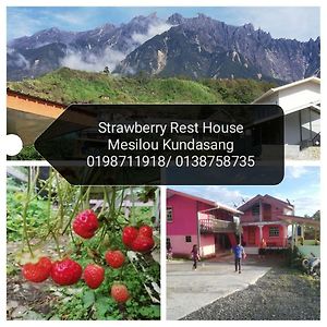 Strawberry Rest House Mesilou Kundasang Exterior photo