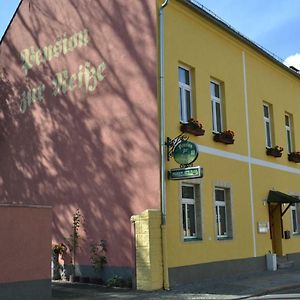 Pension Zur Neisse Hotel Guben Exterior photo