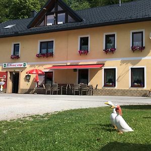 Gasthof Woelger Hotel Admont Exterior photo