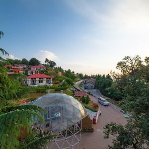 Mint Tarika Resort Chail Exterior photo