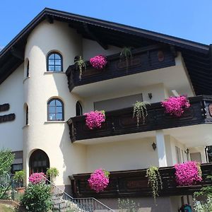 Pension Haus Erika Stadtprozelten Exterior photo