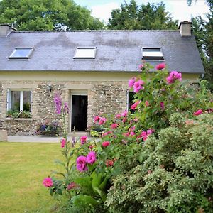 Gite St Emilion Braz A La Campagne, Carhaix 10 Min Villa Plevin Exterior photo