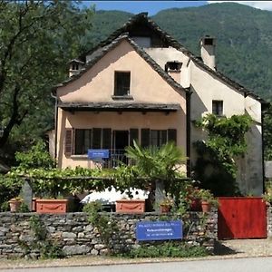 Palazzo Eglin - Safe Landscape Apartment Maggia Exterior photo