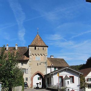 Wandern Und Wohnen Bei Gabriela Apartment Waldenburg Exterior photo