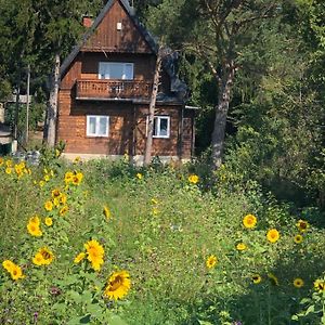 Vacationhome In The Vineyards Wina Exterior photo