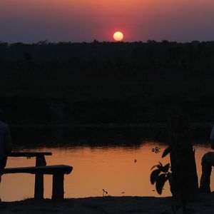 Jungle Sunset Camp Hotel Sauraha Exterior photo