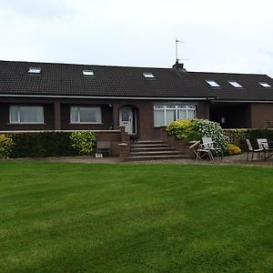 Antrim Heights Bnb Bed & Breakfast Exterior photo